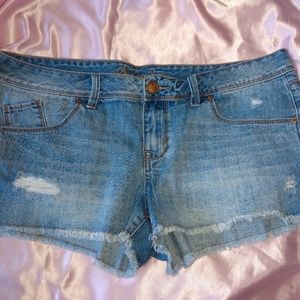 American Rag Shorts